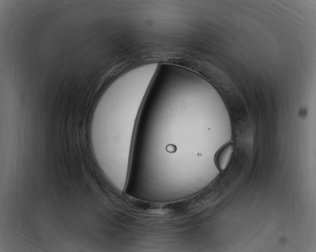 X0000100760216200806190917