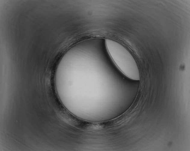 X0000100760217200806190917