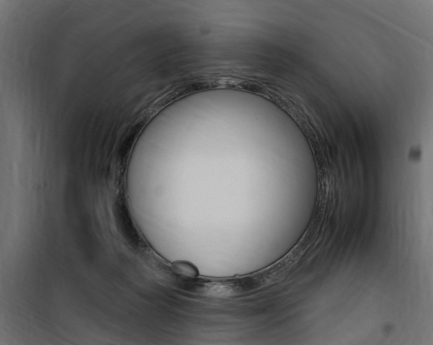 X0000100760218200806190917