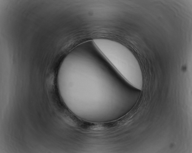 X0000100760219200806190917