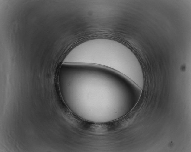 X0000100760221200806190917