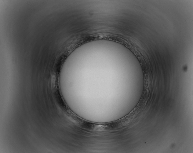 X0000100760222200806190917