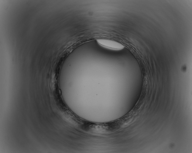 X0000100760223200806190917