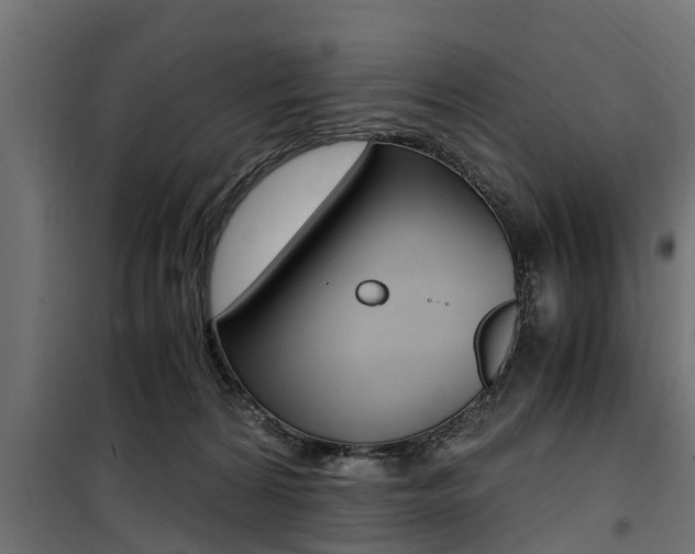 X0000100760224200806190917