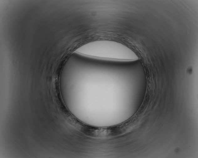 X0000100760225200806190917