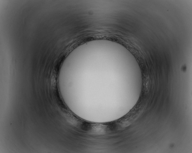 X0000100760226200806190917