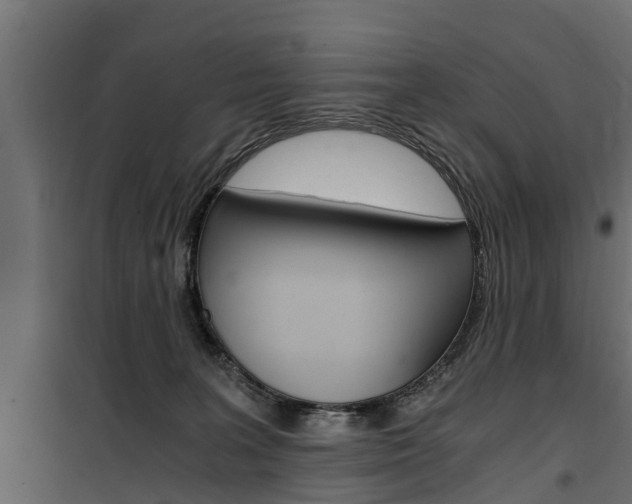 X0000100760227200806190917