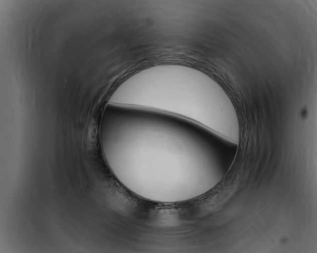 X0000100760228200806190917