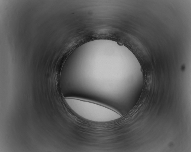 X0000100760232200806190917