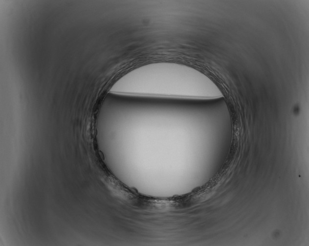 X0000100760233200806190917