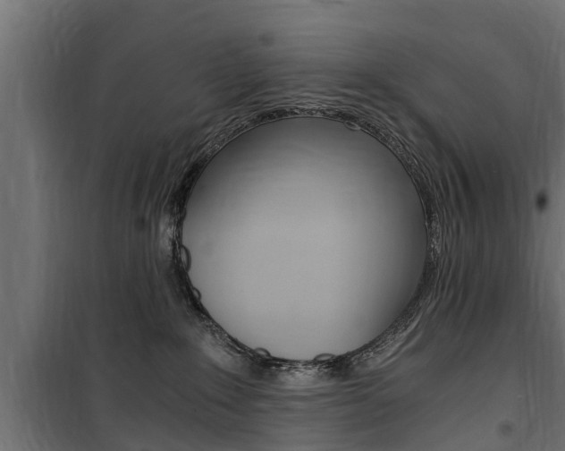 X0000100760235200806190917