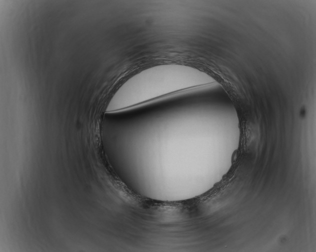 X0000100760236200806190917