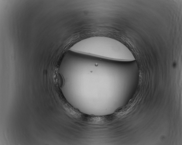 X0000100760237200806190917