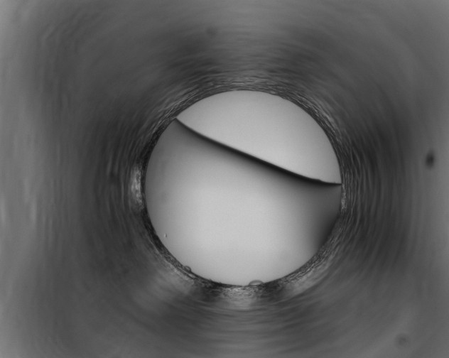 X0000100760238200806190917