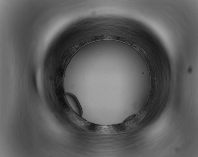 X0000100760239200806190917