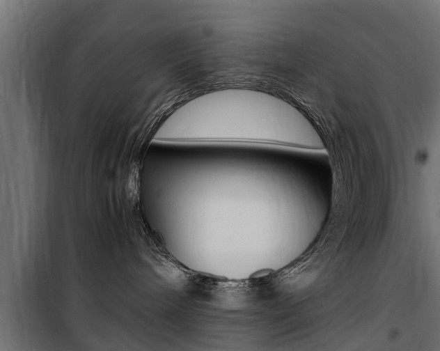 X0000100760240200806190917