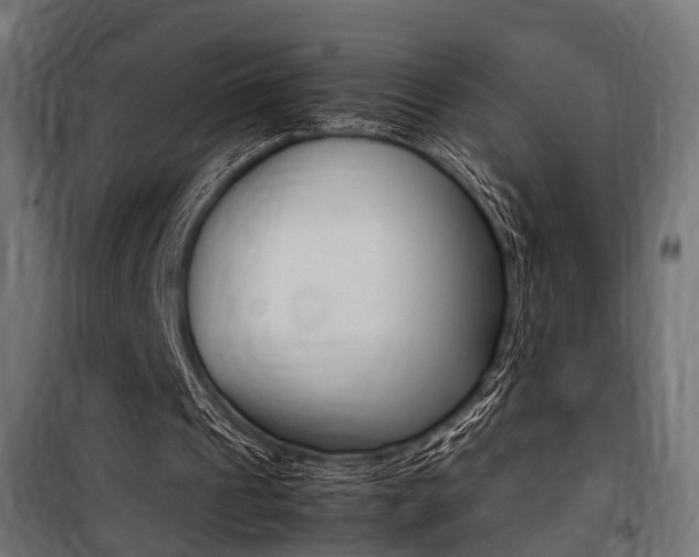 X0000100760241200806190916