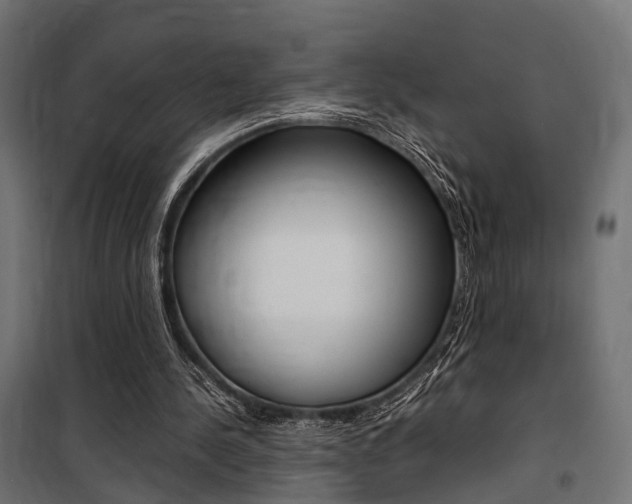 X0000100760244200806190916