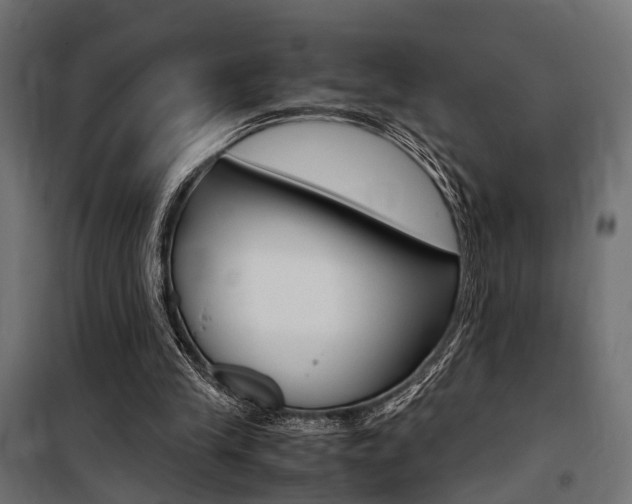 X0000100760245200806190916