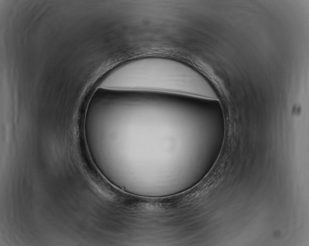 X0000100760250200806190916