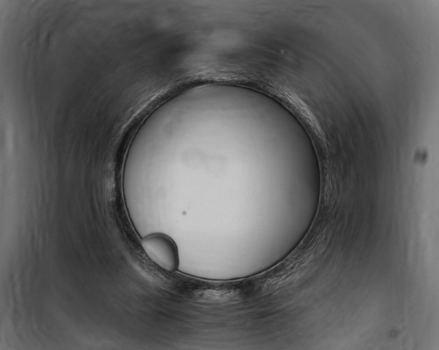 X0000100760251200806190916