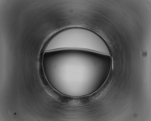 X0000100760252200806190916