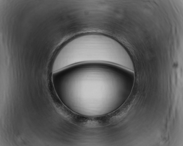 X0000100760256200806190916