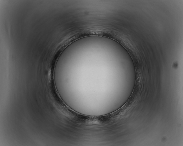 X0000100760262200806190916