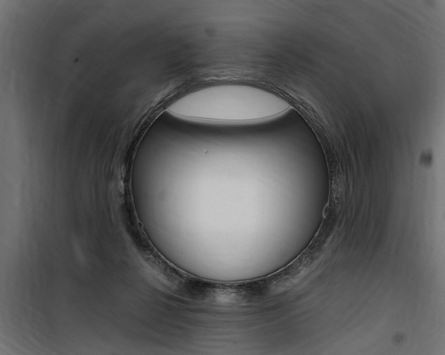 X0000100760264200806190916