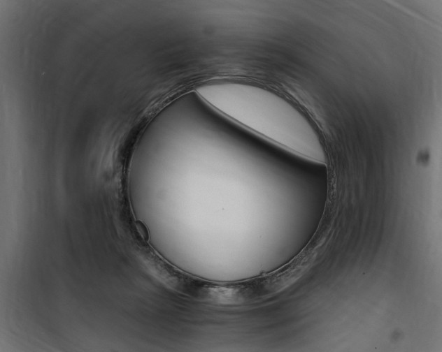 X0000100760265200806190916