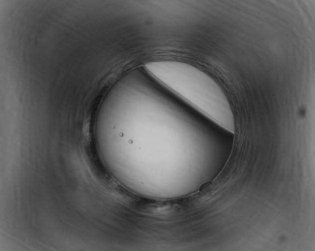 X0000100760267200806190916