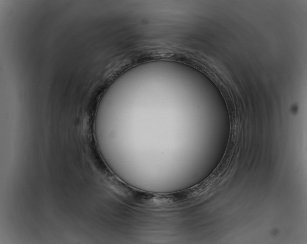 X0000100760270200806190916