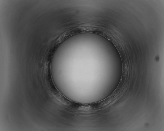 X0000100760271200806190916