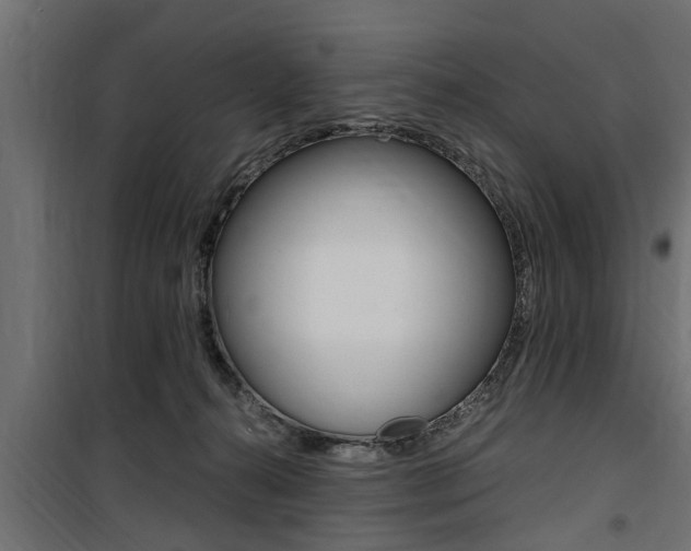 X0000100760272200806190916