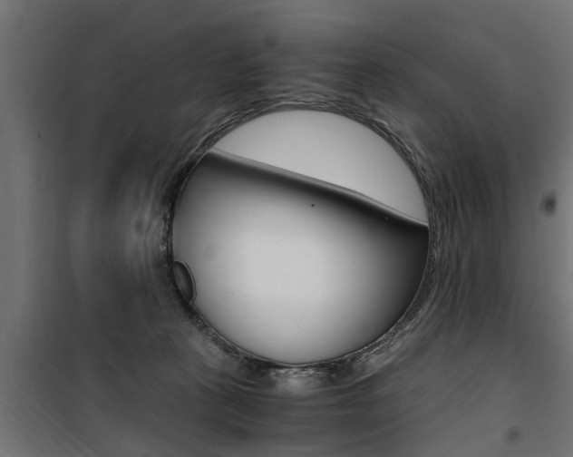 X0000100760273200806190916