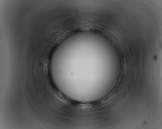 X0000100760275200806190916