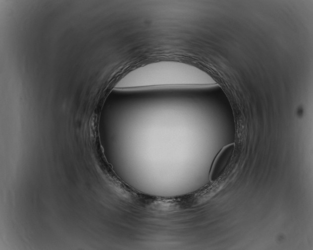 X0000100760280200806190916