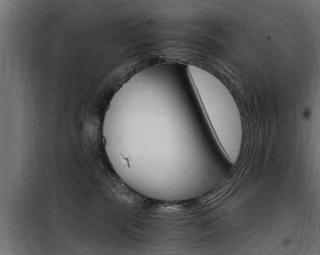 X0000100760283200806190916