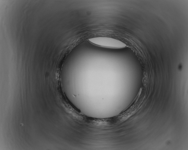 X0000100760284200806190916