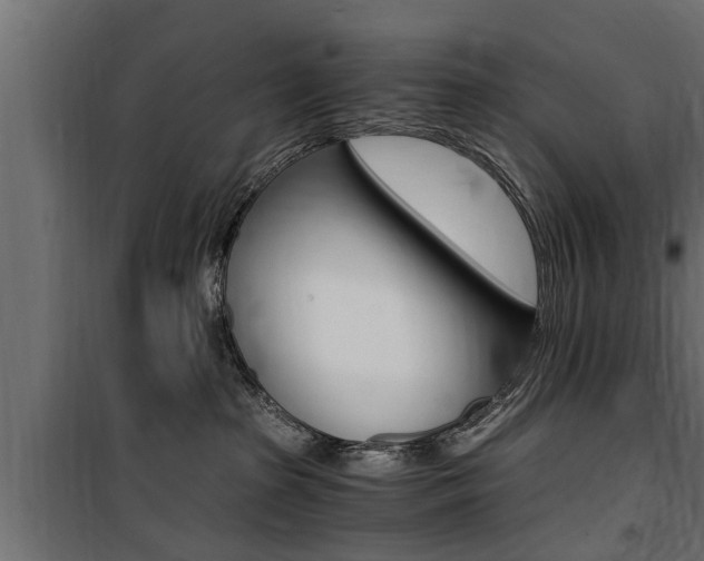 X0000100760285200806190916