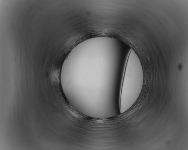 X0000100760286200806190916