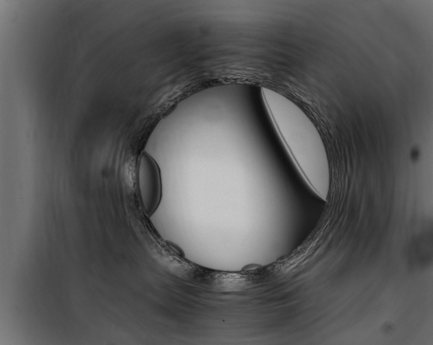 X0000100760287200806190916