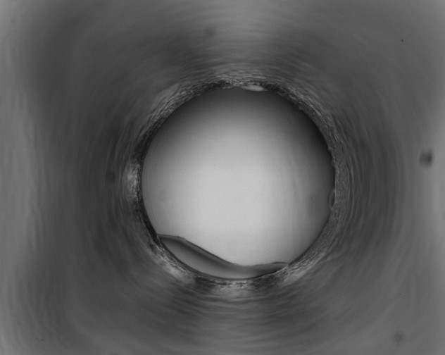 X0000100760288200806190917