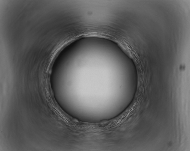 X0000100760289200806190916