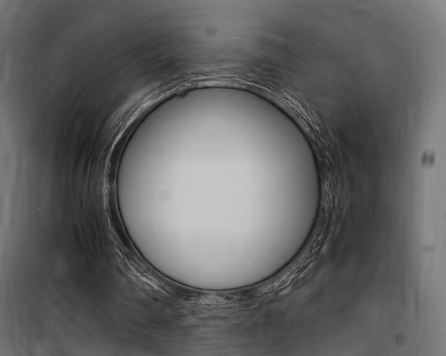 X0000100760290200806190916