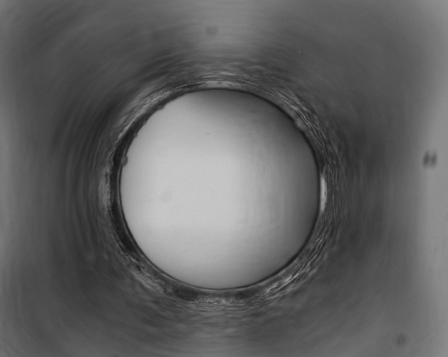 X0000100760291200806190916