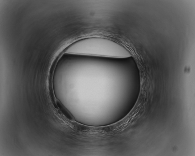 X0000100760292200806190916