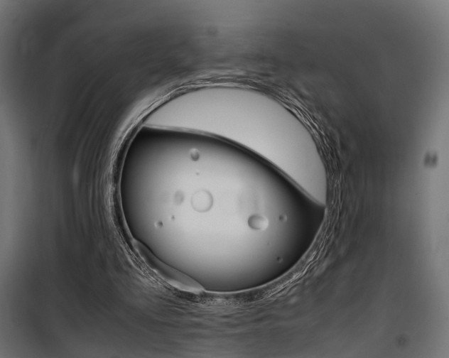 X0000100760293200806190916