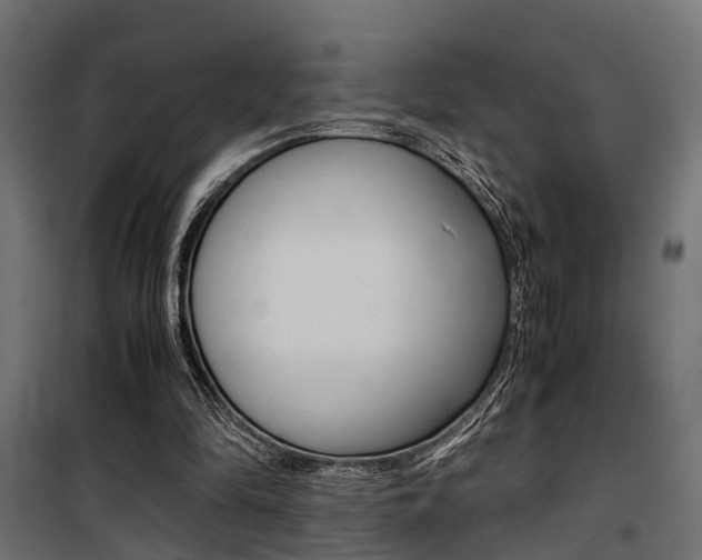 X0000100760294200806190916