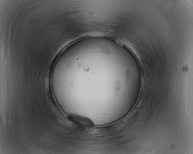 X0000100760297200806190916